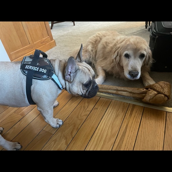 Meet your Posher, Jessica - Picture 8 of 14